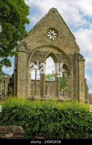 Valle Crucis Abbey, in der Nähe von Llangollen, Denbighshire, Wales Stockfoto