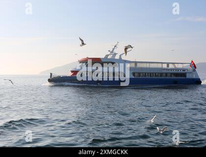 BUYUKADA, ISTANBUL, TÜRKEI-05. NOVEMBER 2021: Inselfähre zur Insel Buyukada und Flying Seagulls herum und auf ihr Stockfoto