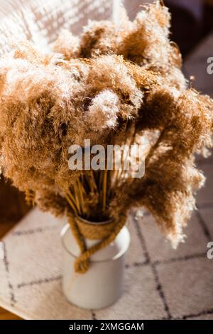 Pampas Gras in einer weißen Vase mit sonnendurchfluteter, gemütlicher Inneneinrichtung im Abendlicht. Böhmischer Stil. Stockfoto