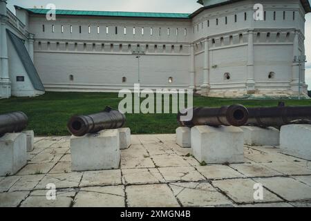 Rostige Kanonen auf Steinplattformen vor einer historischen Festungsmauer, die das militärische Erbe unter einem bewölkten Himmel hervorheben. Stockfoto