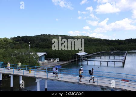 Der Hafen von Roatan ist einer von zwei Kreuzfahrthäfen in Roatan. Stockfoto