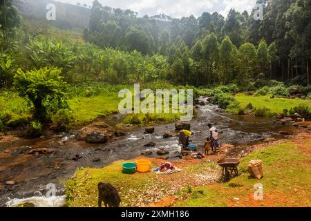 SIPI, UGANDA - 28. FEBRUAR 2020: Frauen aus der Region waschen im Fluss Sipi, Uganda Stockfoto
