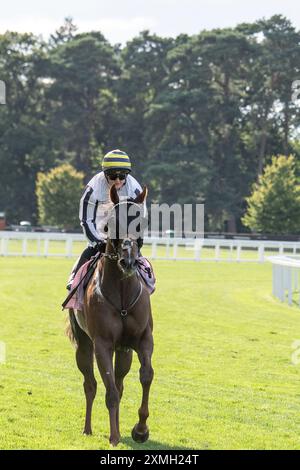 Ascot, Berkshire, Großbritannien. Juli 2024. Horse Albasheer, geritten von Jockey Hollie Doyle, gewinnt die Whispering Angel Handicap Stakes beim QIPCO King George Day auf der Ascot Racecourse in Berkshire. Eigentümer Taylors' Bloodstock Ltd, Trainer Archie Watson, Upper Lambourn, Breeder Shadwell Estate Company Ltd, Sponsor Taylor Group (Yorkshire) Ltd Quelle: Maureen McLean/Alamy Live News Stockfoto