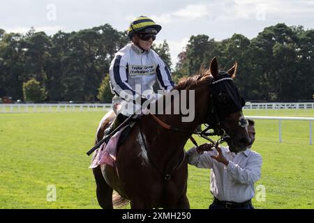 Ascot, Berkshire, Großbritannien. Juli 2024. Horse Albasheer, geritten von Jockey Hollie Doyle, gewinnt die Whispering Angel Handicap Stakes beim QIPCO King George Day auf der Ascot Racecourse in Berkshire. Eigentümer Taylors' Bloodstock Ltd, Trainer Archie Watson, Upper Lambourn, Breeder Shadwell Estate Company Ltd, Sponsor Taylor Group (Yorkshire) Ltd Quelle: Maureen McLean/Alamy Live News Stockfoto