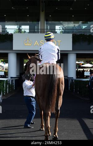 Ascot, Berkshire, Großbritannien. Juli 2024. Horse Albasheer, geritten von Jockey Hollie Doyle, gewinnt die Whispering Angel Handicap Stakes beim QIPCO King George Day auf der Ascot Racecourse in Berkshire. Eigentümer Taylors' Bloodstock Ltd, Trainer Archie Watson, Upper Lambourn, Breeder Shadwell Estate Company Ltd, Sponsor Taylor Group (Yorkshire) Ltd Quelle: Maureen McLean/Alamy Live News Stockfoto