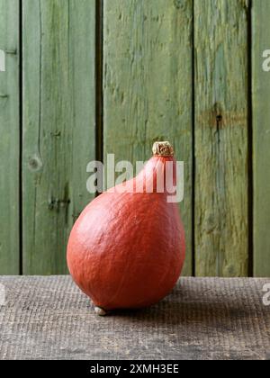 Roter Kuri Kürbis oder Hokkaido Kürbis auf einem alten Holztisch mit grünem Hintergrund Stockfoto