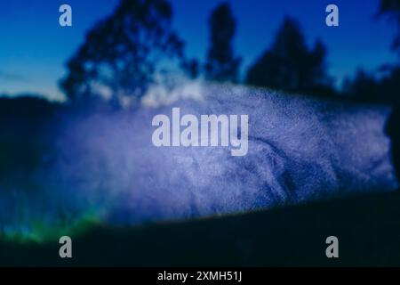 Eine abstrakte Nachtszene mit einem nebeligen Vordergrund, der von blauem Licht beleuchtet wird, mit verschwommenen Baumsilhouetten im Hintergrund, die einen Äther erzeugen Stockfoto