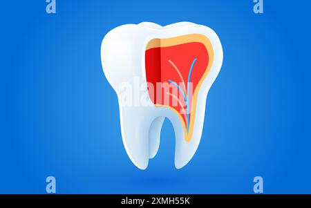 Zahnärztliche Behandlung. Zahn im Schnitt. Vektorabbildung Stock Vektor