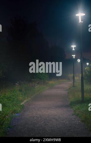 Nebeliger Parkweg, beleuchtet von Straßenlaternen bei Nacht Stockfoto