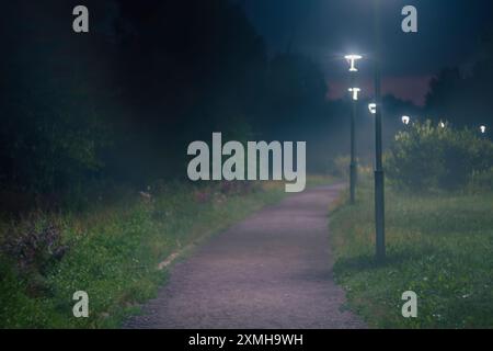 Nebeliger Parkweg, beleuchtet von Straßenlaternen bei Nacht Stockfoto