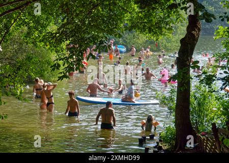 Schlachtensee, Bezirk Steglitz-Zehlendorf, Grunewald, Berlin, Deutschland, Europa Schlachtensee, Badesee, Sommer in Berlin, See, Bezirk Steglitz-Zehlendorf, Grunewald, Berlin, Deutschland, Europa *** Schlachtensee, Steglitz Zehlendorf, Grunewald, Berlin, Deutschland, Europa Schlachtensee, Badesee, Sommer in Berlin, See, Steglitz Zehlendorf, Grunewald, Berlin, Deutschland, Europa Stockfoto