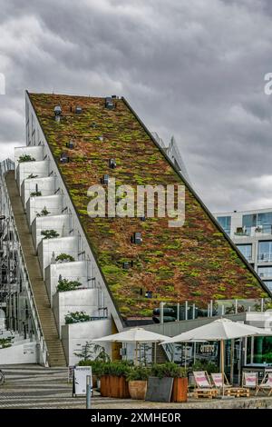 8 House, auch bekannt als 8 Tallet oder Big House, Architekt Bjarke Ingels, Preis 2011 für das beste Gebäude der Welt, Orestad, Amager Vest, Kopenhagen, Dänemark 8-House, GROSSES Haus, 8-tallet, moderne Architektur, Architekt Barke Ingels, begrünte Dächer, Orestad, Amager Vest, Kopenhagen, *** 8 House, auch bekannt als 8 Tallet oder Big House, Architekt Bjarke Ingels, Preis 2011 für das beste Gebäude der Welt, Orestad, Amager Vest, Kopenhagen, Dänemark 8 House, GROSSES Haus, 8 tallet, moderne Architektur, Architekt Barke Ingels, begrünte Dächer, Orestad, Amager Vest, Kopenhagen, Stockfoto