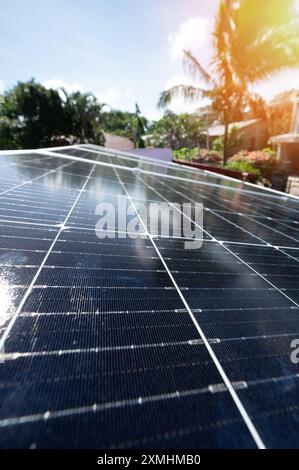 Thema erneuerbare Energien. Sonnenkollektor auf tropischem Wohngrund Stockfoto
