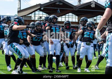 Touchdown-Celebration von Gerrit Brandt (Munich Ravens #79) GER, Munich Ravens vs Milano Seamen, Amerian Football, elf, Woche 4, Saison 2024, 28.07.2024, Foto: Eibner-Pressefoto/Florian Wolf Stockfoto