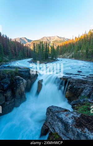 Sunwapta Falls im Jasper National Park, Alberta, Kanada. Stockfoto