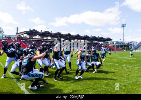 Europäische Fußballliga, elf/ Spiel: Milano Seamen in München Ravens am 28. Juli 2024, im Sportpark Unterhaching, Unterhaching, GermanyTD elebration Munich Ravens. Stockfoto