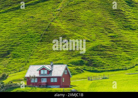 Dorf Runde auf der Insel Runde, Sørøyane Archipel, Herøy, Norwegen Stockfoto