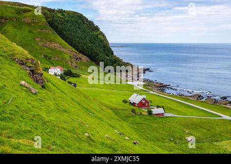 Dorf Runde auf der Insel Runde, Sørøyane Archipel, Herøy, Norwegen Stockfoto