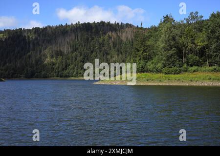 Blick auf das Albreservoir im Schwarzwald - Deutschland Stockfoto