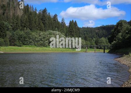 Blick auf das Albreservoir im Schwarzwald - Deutschland Stockfoto