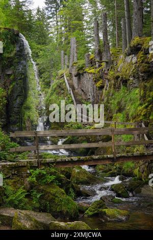 Blick auf die Menzenschwand Wasserfälle im Hochschwarzwald - Deutschland Stockfoto