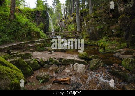 Blick auf die Menzenschwand Wasserfälle im Hochschwarzwald - Deutschland Stockfoto