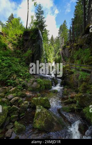 Blick auf die Menzenschwand Wasserfälle im Hochschwarzwald - Deutschland Stockfoto