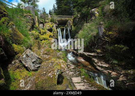 Blick auf die Menzenschwand Wasserfälle im Hochschwarzwald - Deutschland Stockfoto