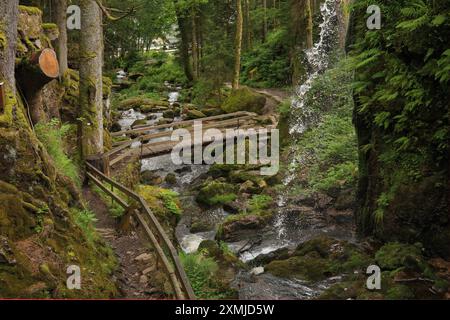 Blick auf die Menzenschwand Wasserfälle im Hochschwarzwald - Deutschland Stockfoto