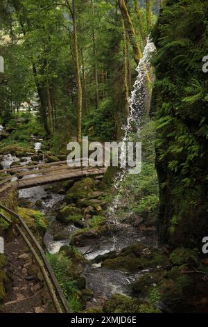 Blick auf die Menzenschwand Wasserfälle im Hochschwarzwald - Deutschland Stockfoto