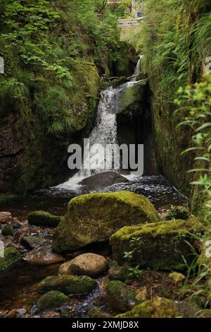 Blick auf die Menzenschwand Wasserfälle im Hochschwarzwald - Deutschland Stockfoto