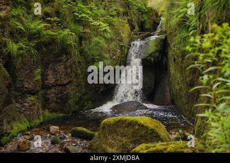 Blick auf die Menzenschwand Wasserfälle im Hochschwarzwald - Deutschland Stockfoto