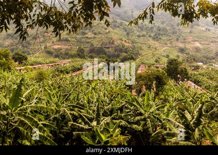 Aus der Vogelperspektive von Häusern und Bananenpflanzen im Dorf Kilembe, Uganda Stockfoto