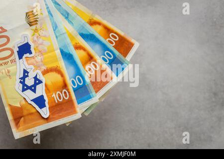 Israel Geld, Länderform und Flagge, grauer Hintergrund, Kopierraum, flache Lay, finanzieller Hintergrund, israelisches Schekelkonzept Stockfoto