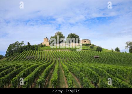 Die Burgruine Weibertreu, ursprünglich Schloss Weinsberg, Deutschland Stockfoto