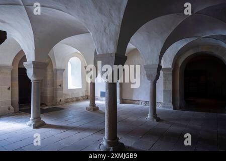 Lippoldsberg das Kloster Lippoldsberg mit der Kirche St. Georg und Maria, ist ein ehemaliges Kloster der Benediktinerinnen, das den Ursprung des Ortes Lippoldsberg an der Weser im nördlichen Hessen bildete. Romanischer Narthex. Lippoldsberg Hessen Deutschland *** Lippoldsberg das Kloster Lippoldsberg mit der Kirche St. Georg und Maria ist ein ehemaliges Benediktinerkloster, das den Ursprung des Dorfes Lippoldsberg an der Weser in Nordhessen bildete romanische Narthex Lippoldsberg Hessen Deutschland Kloster Lippoldsberg 00182 Stockfoto