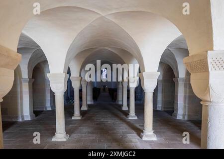 Lippoldsberg das Kloster Lippoldsberg mit der Kirche St. Georg und Maria, ist ein ehemaliges Kloster der Benediktinerinnen, das den Ursprung des Ortes Lippoldsberg an der Weser im nördlichen Hessen bildete. Romanischer Narthex. Lippoldsberg Hessen Deutschland *** Lippoldsberg das Kloster Lippoldsberg mit der Kirche St. Georg und Maria ist ein ehemaliges Benediktinerkloster, das den Ursprung des Dorfes Lippoldsberg an der Weser in Nordhessen bildete romanische Narthex Lippoldsberg Hessen Deutschland Kloster Lippoldsberg 00183 Stockfoto