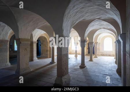 Lippoldsberg das Kloster Lippoldsberg mit der Kirche St. Georg und Maria, ist ein ehemaliges Kloster der Benediktinerinnen, das den Ursprung des Ortes Lippoldsberg an der Weser im nördlichen Hessen bildete. Romanischer Narthex. Lippoldsberg Hessen Deutschland *** Lippoldsberg das Kloster Lippoldsberg mit der Kirche St. Georg und Maria ist ein ehemaliges Benediktinerkloster, das den Ursprung des Dorfes Lippoldsberg an der Weser in Nordhessen bildete romanische Narthex Lippoldsberg Hessen Deutschland Kloster Lippoldsberg 00187 Stockfoto