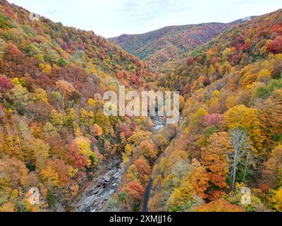 Drone View von Asheville, North Carolina. Herbstfarben in den Blue Ridge Mountains Stockfoto