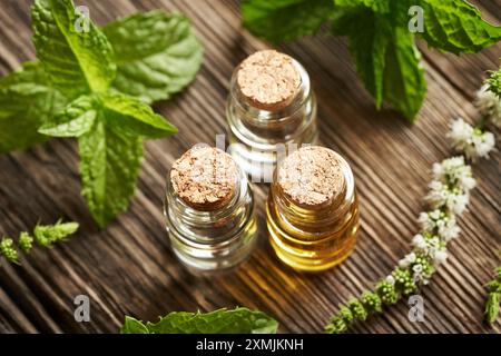 Drei Flaschen ätherisches Öl mit frischen Pfefferminzblättern und Blumen auf einem Tisch Stockfoto