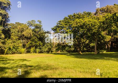 Landschaft der Entebbe Botanischen Gärten, Uganda Stockfoto