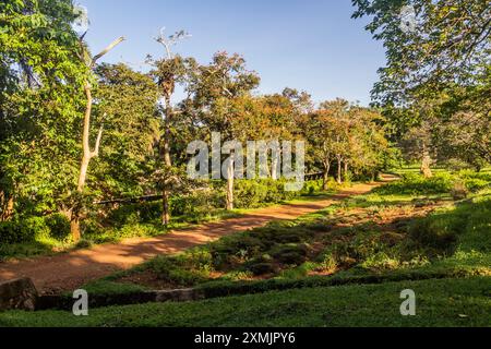 Landschaft der Entebbe Botanischen Gärten, Uganda Stockfoto