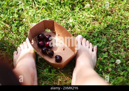 Schüssel gefüllt mit Reifen roten Kirschen, frisch vom Kirschbaum geerntet. Grüner Grashintergrund. Stockfoto