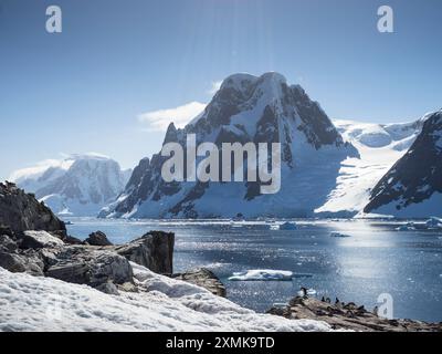 Pinguinkolonie auf Petermann Island, Wilhelm Archipel, gegenüber der Penola Strait vom Mt Scott (880 m), Graham Land, Antarktis Stockfoto