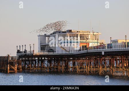 Worthing, West Sussex, Großbritannien. Juli 2024. Ein kleines Murmeln von Starlingen stürmt an einem schönen Sommerabend über Perch am Pier in Worthing, West Sussex, während Großbritannien voraussichtlich auf eine Hitzewelle zusteuert. Kredit : Monica Wells/Alamy Live News Stockfoto