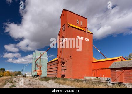 Orangenförderer, Nanton, Alberta, Kanada Stockfoto