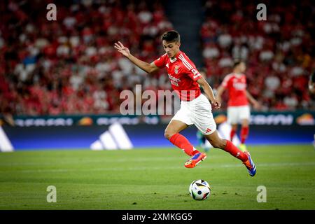 Lisboa, Portugal. Juli 2024. Estadio da Luz während des Vorsaisonspiels zwischen SL Benfica gegen Feyenoord Rotterdam Estádio am 28. Juli 2024 in Lissabon, Portugal Eusebio Cup - SL Benfica gegen Feyenoord (Valter Gouveia/SPP) Credit: SPP Sport Press Photo. /Alamy Live News Stockfoto