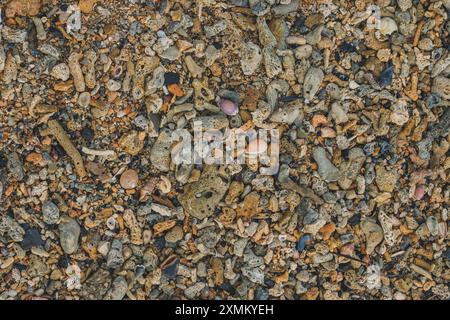 Ein Nahfoto von einem Haufen glatter, farbenfroher Felsen und Muscheln an einem Sandstrand. Der Stapel enthält eine Vielzahl von Formen, Größen und Farben. Stockfoto