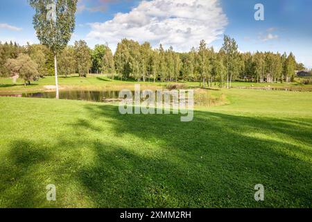 Dieses Foto zeigt einen ruhigen Teich auf einer Lichtung, umgeben von üppigem Grasland und Bäumen in Lettland. Die ruhige Szene spiegelt die natürliche Schönheit wider Stockfoto