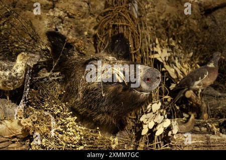 Detail mit gefüttertem und dekorativem Tierkopf Stockfoto